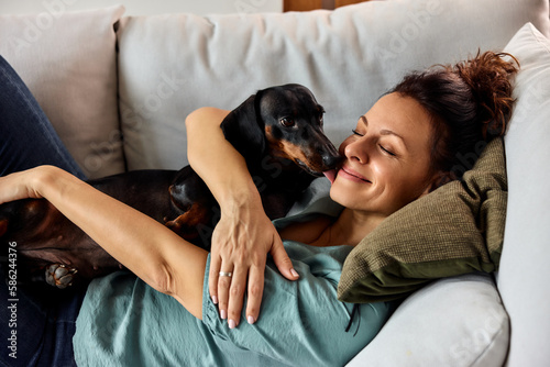 A female owner smiling while his dachshund dog licking her face, lying at home. photo