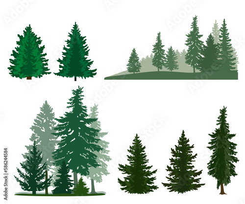 Silhouettes of firs and pines, forest landscapes. Vector illustration © Евгений Горячев