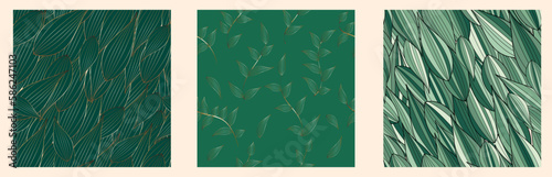 Set of beautiful seamless floral pattern. Modern tropical green patterns. Vintage background collection. Spring botanical print.