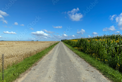 Paved highway in rural areas