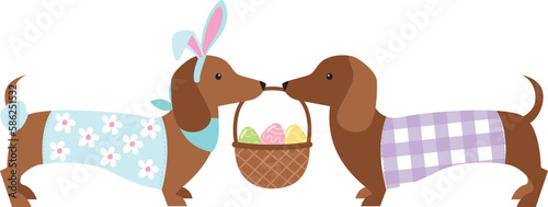 Easter Dog, Dachshund, puppy, Cute