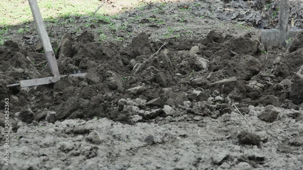 a farmer leveling black soil with a rake in his garden a farmer leveling black soil with a rake in his garden