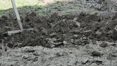 Wallpaper Mural a farmer leveling black soil with a rake in his garden Torontodigital.ca