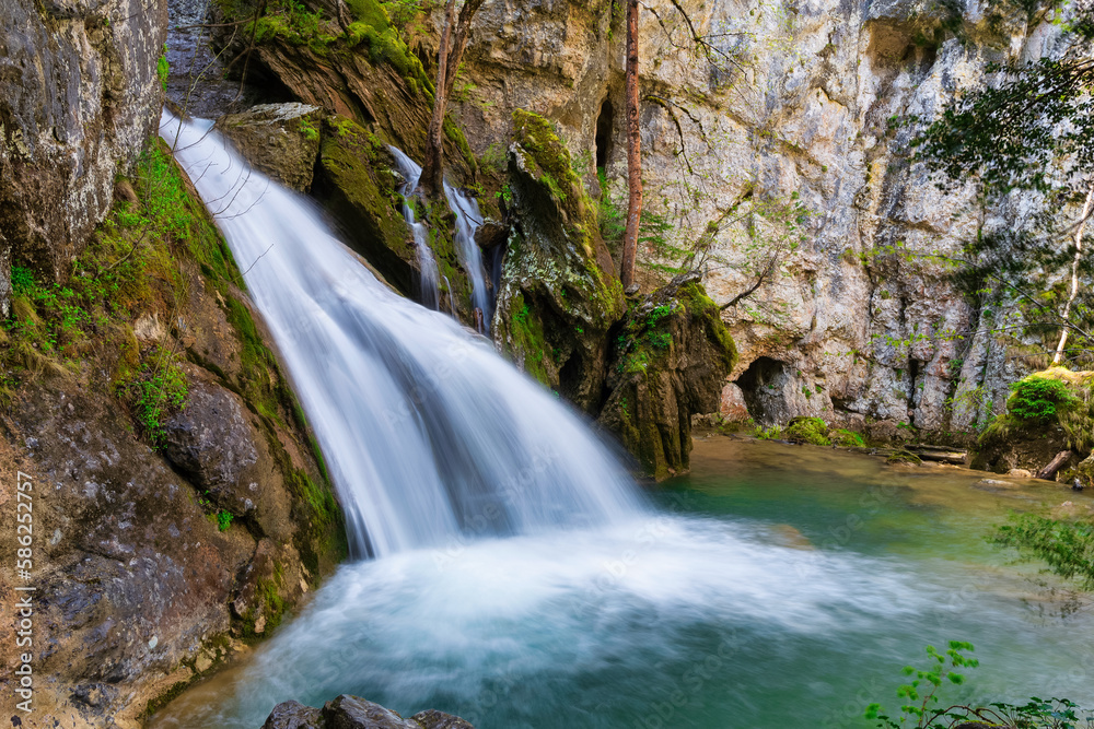 Fototapeta premium Camins del GR11