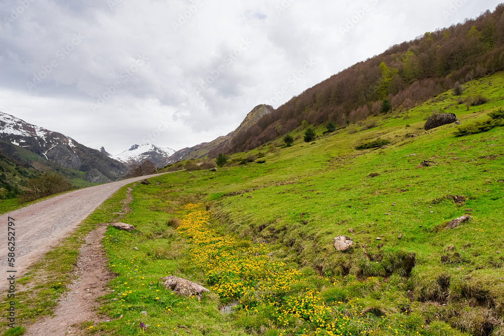 Fototapeta premium Camins del GR11