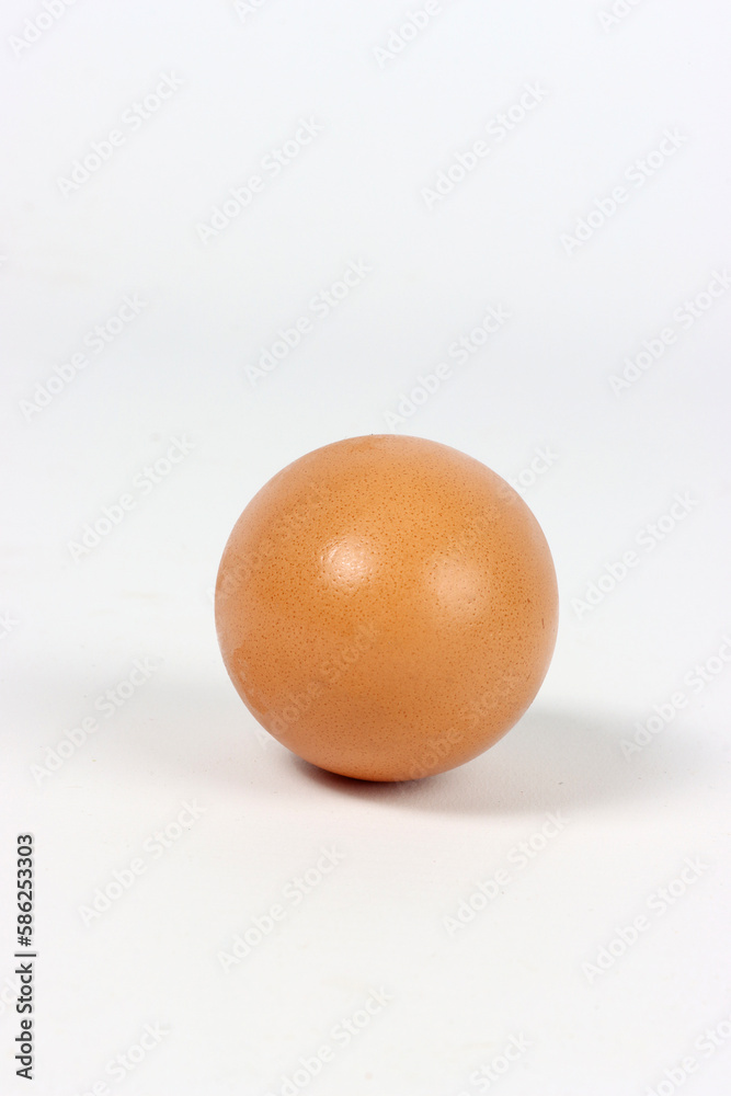 single egg isolated on white background single egg isolated on white background