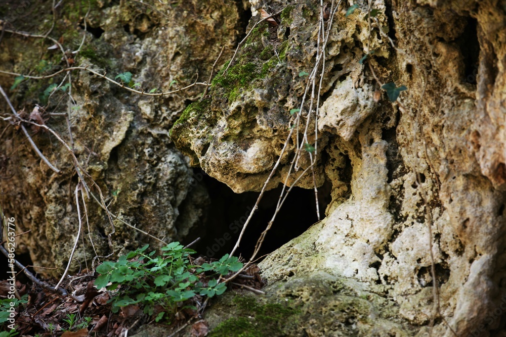 Hole in a cave with moss and greenery on the side, rock with holes Hole in a cave with moss and greenery on the side, rock with holes