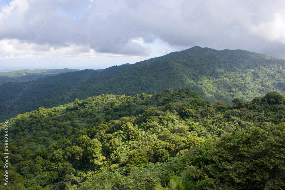 Puerto Rico El Yunque National Forest - Mountains