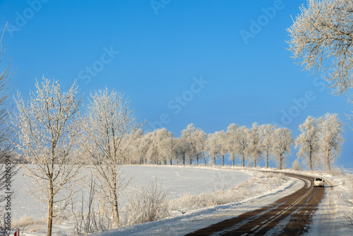 Landscape winter frosty sunny day, blue sky, trees covered with frost, Poland Europe © Marcin Perkowski