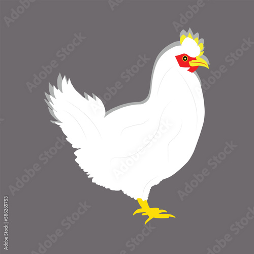 A beautiful white hen vector art work illustration © Saiful