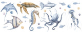 Set of Underwater Animals. Watercolor hand drawn illustration of sea Fish on isolated background. Big undersea bundle with seahorse, jellyfish and turtle. Drawing of marine wild life for clipart.