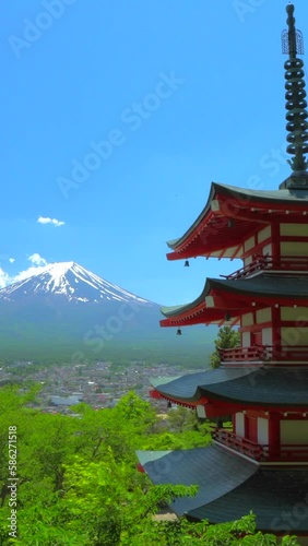 富士山と5月の新緑と五重の塔の縦動画・新倉山浅間公園

