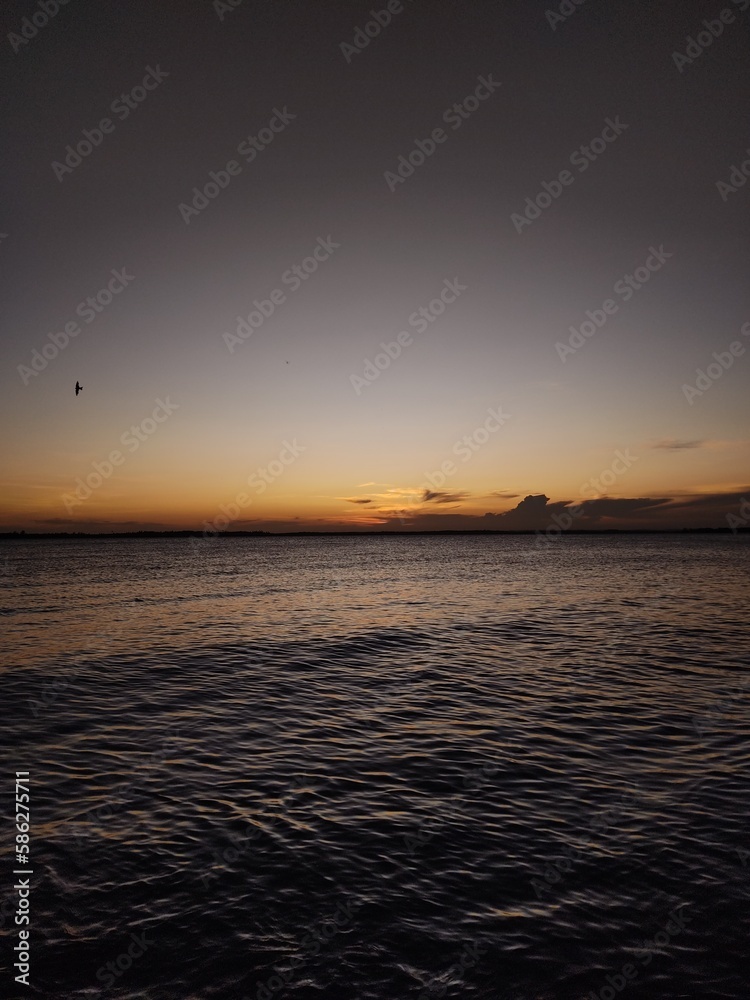 Fototapeta premium on the sunset