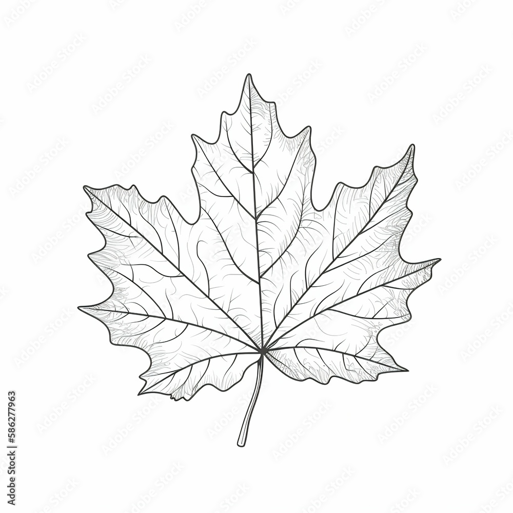 2D line maple leaf white background. AI Generative 2D line maple leaf white background. AI Generative