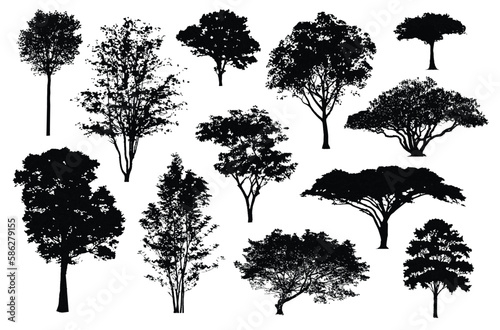 silhouette tree line, Side view, set of graphics trees elements outline symbol for architecture and landscape design drawing. Vector illustration in stroke fill in white. Tropical