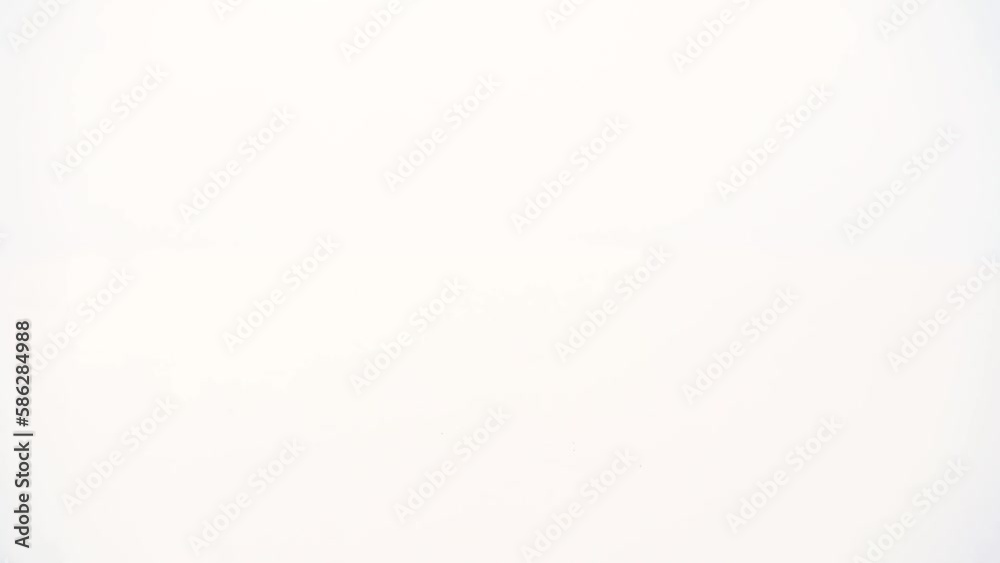 Rotation Of Onion with white background Rotation Of Onion with white background