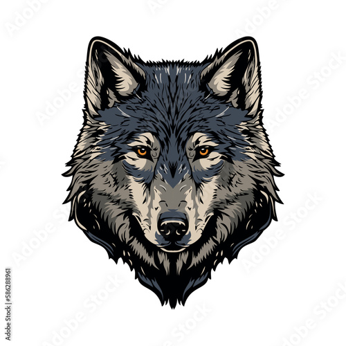 Hand drawn wolf head. wolf isolated. vector illustration