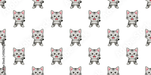 Vector cartoon character american shorthair cat seamless pattern background for design.