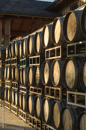 Stack of wine barrels