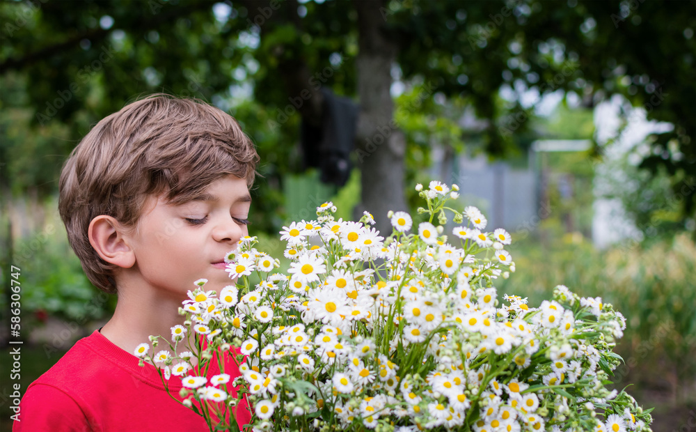 Fototapeta premium A little boy sniffs fresh flowers
