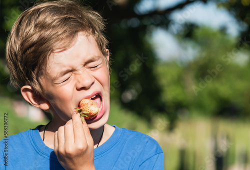 Little boy eats strawberries
