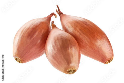 Shallots isolated on white background. three whole onion shallots isolsted.