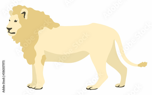 White lion vector illustration isolated on white