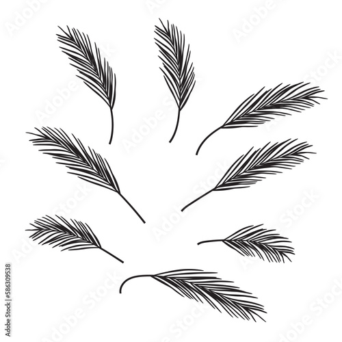 black branches pine needles. Design element. Vector illustration.