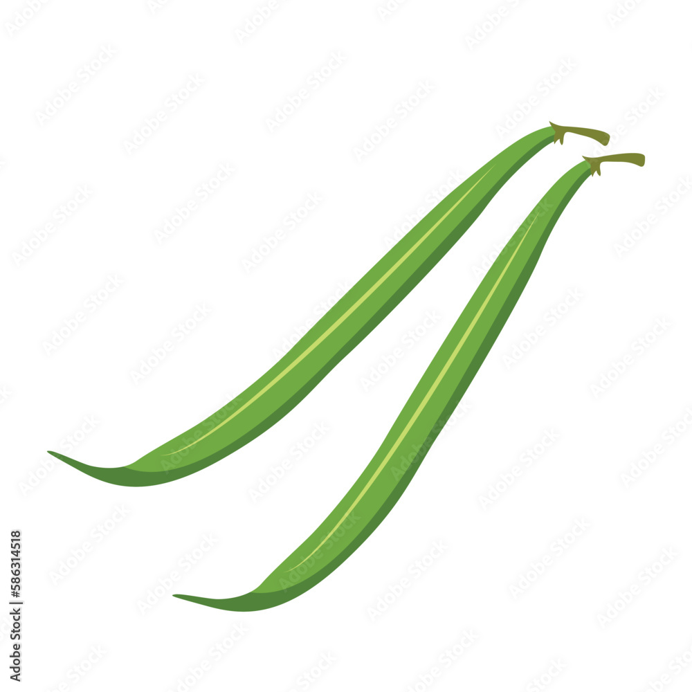 Green beans. Vector illustration isolated on white background. For template label, packing, web, menu, logo, textile, icon Green beans. Vector illustration isolated on white background. For template label, packing, web, menu, logo, textile, icon
