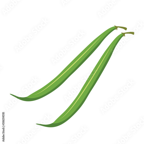 Green beans. Vector illustration isolated on white background. For template label, packing, web, menu, logo, textile, icon