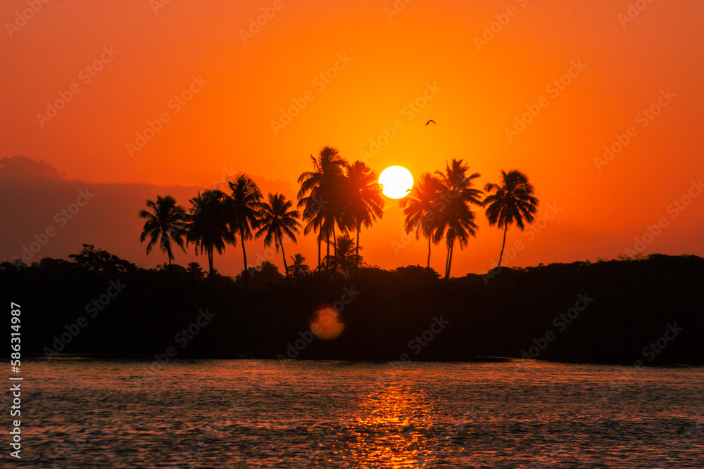 Obraz premium sunset with trees
