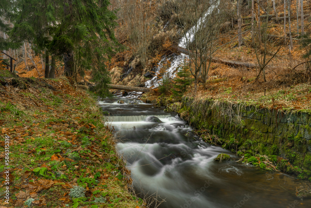 Bila Opava river in Jeseniky mountains in spring morning