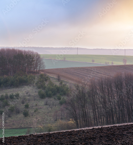 Spring morning arable and growth fields and countryside. photo