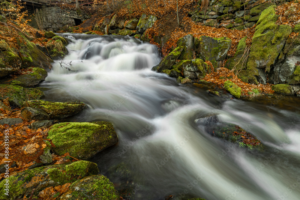 Bila Opava river in Jeseniky mountains in spring morning Bila Opava river in Jeseniky mountains in spring morning