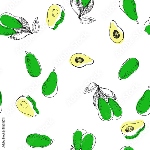 Vector hand-drawn seamless pattern with avocado isolated on white background. Texture with fruits in sketch style.