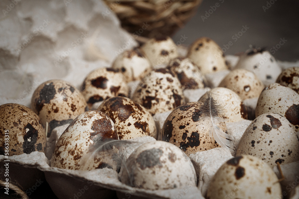 Easter gray vertical banner with a nest filled with quail eggs. Top view.