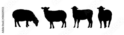 set of silhouettes of sheep	