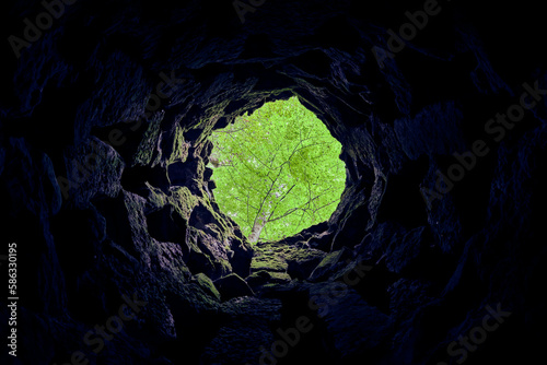 View from inside a well in a forest