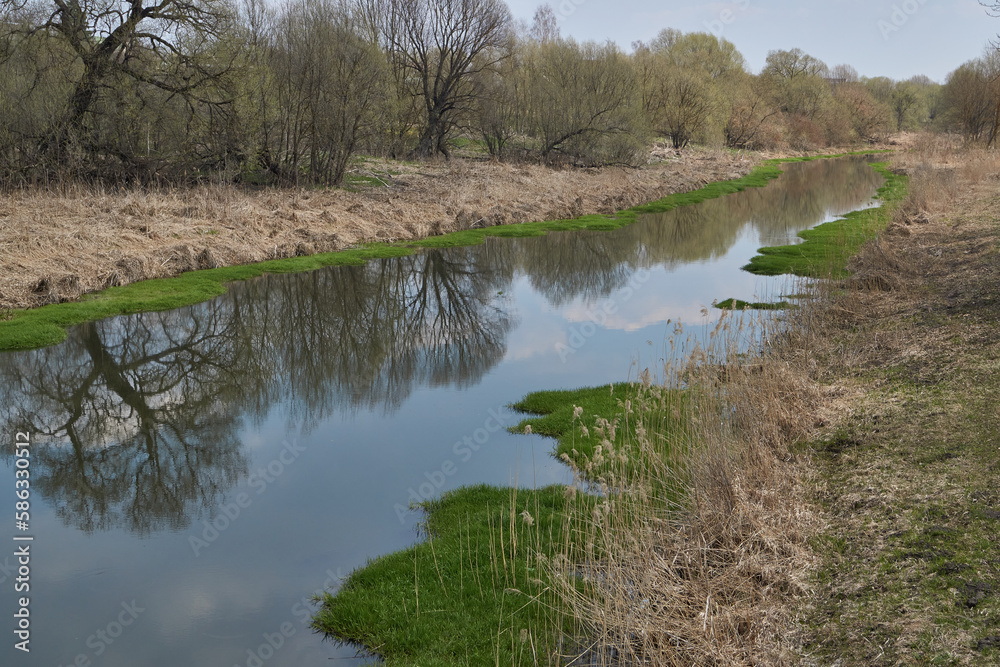 A walk along the bank of the Snezhet River. Spring.