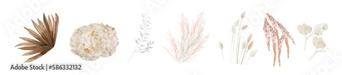 Dried flowers, leaves. Beige hydrangea, cream pampas grass, dry palm leaves, lagurus, lunaria branches. Watercolor style, vector illustration. Wedding invite, decorative bouquet. Editable elements set