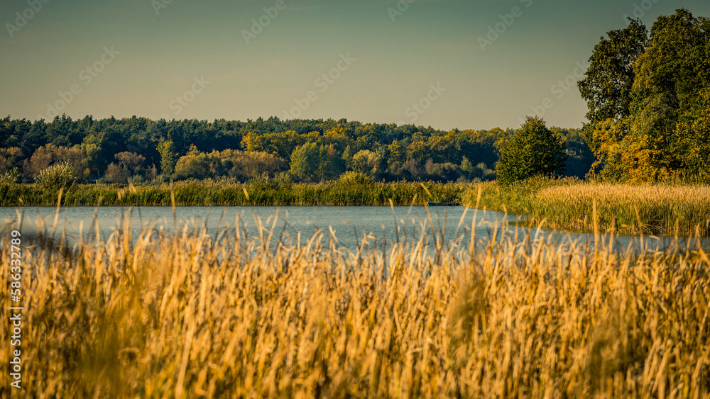 Beautiful autumn panorama of forest with  lake in Zalesie near Warsaw, Poland 