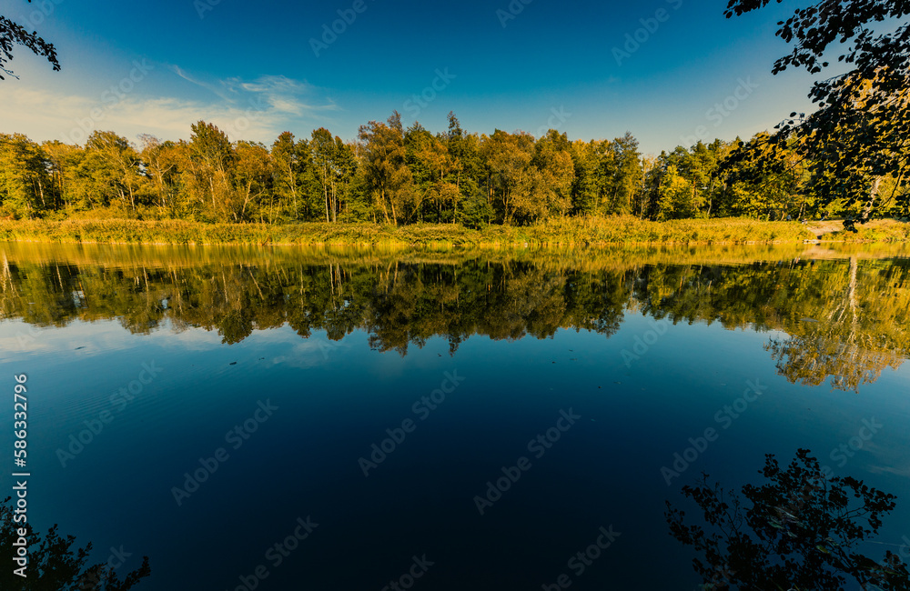 Beautiful autumn panorama of forest and reflections in the lake in Zalesie near Warsaw, Poland Beautiful autumn panorama of forest and reflections in the lake in Zalesie near Warsaw, Poland