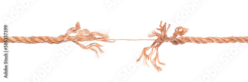 Long frayed rope near to break. Isolated png with transparency