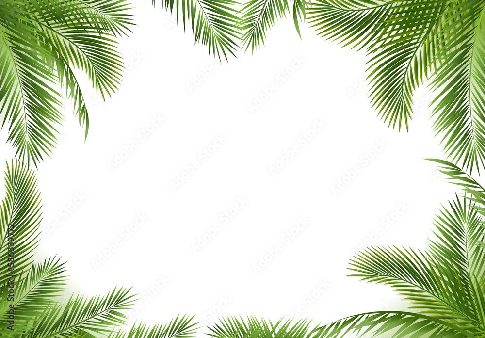 Palm Tree Border Isolated White Background