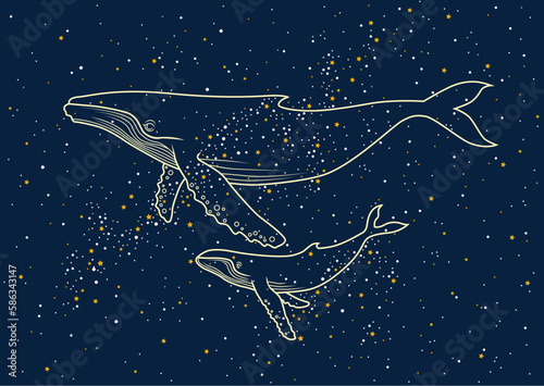 Illustration of the whales family on the night sky background