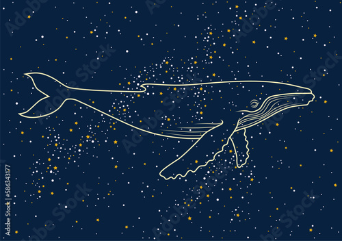 Illustration of the whale on the night sky background