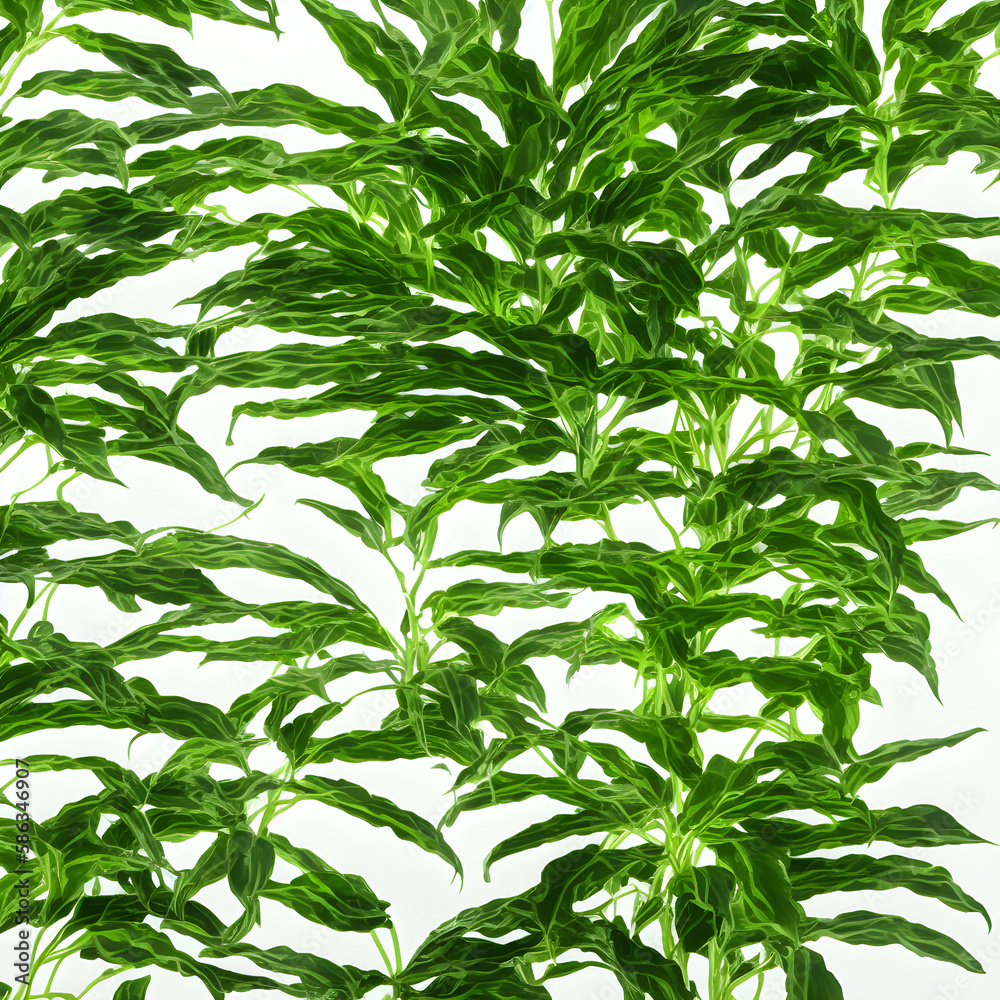 Obraz premium Plants Backgrounds 