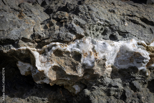 Black rock with white vain, Fuerteventura