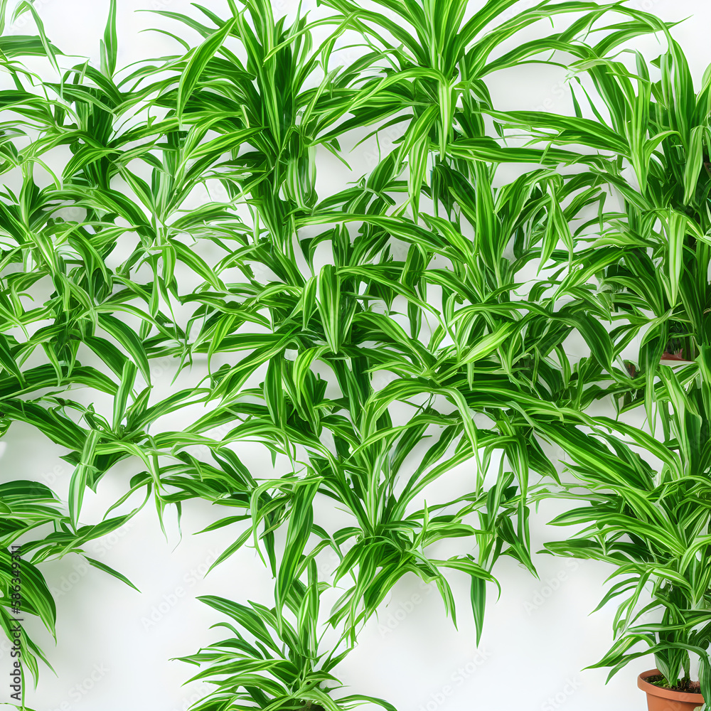 Plants Backgrounds Plants Backgrounds