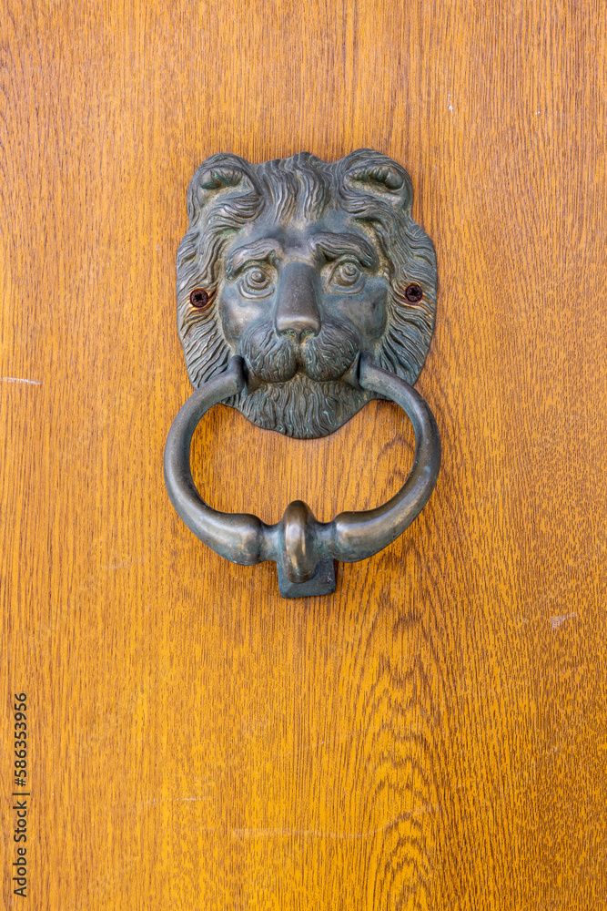 Brass door knocker in the shape of a lion's head. Brass door knocker in the shape of a lion's head.